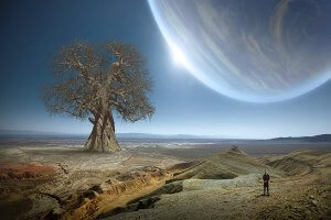 העתיד הקרוב אחרי גירושין - מדבר, עץ ירח ענק